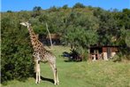Giraffe View Safari Camp