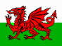 Cardiff Town Guide, Welsh Flag Divider, 2K