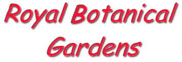 Edinburgh Town Guide, Royal Botanical Gardens, 6K